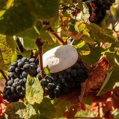 Portus Cale Ruby Red Soap (150gr)