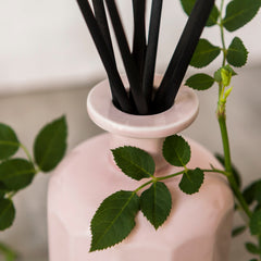 Portus Cale Rosé Blush Fragrance Diffuser (250mL)