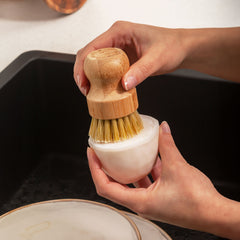 Solid Dishwashing Soap - Sea Salt and Lemon (150 gr)