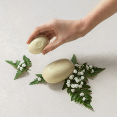 Verbena Soap ( 40gr)