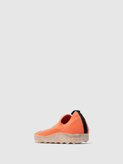 Slip-on Elasticaded Shoes CLIP | Coral